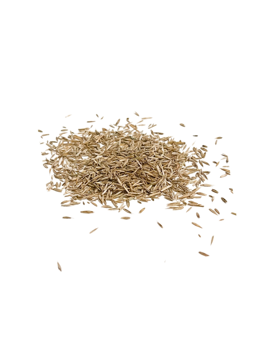 Grassamen 300ml