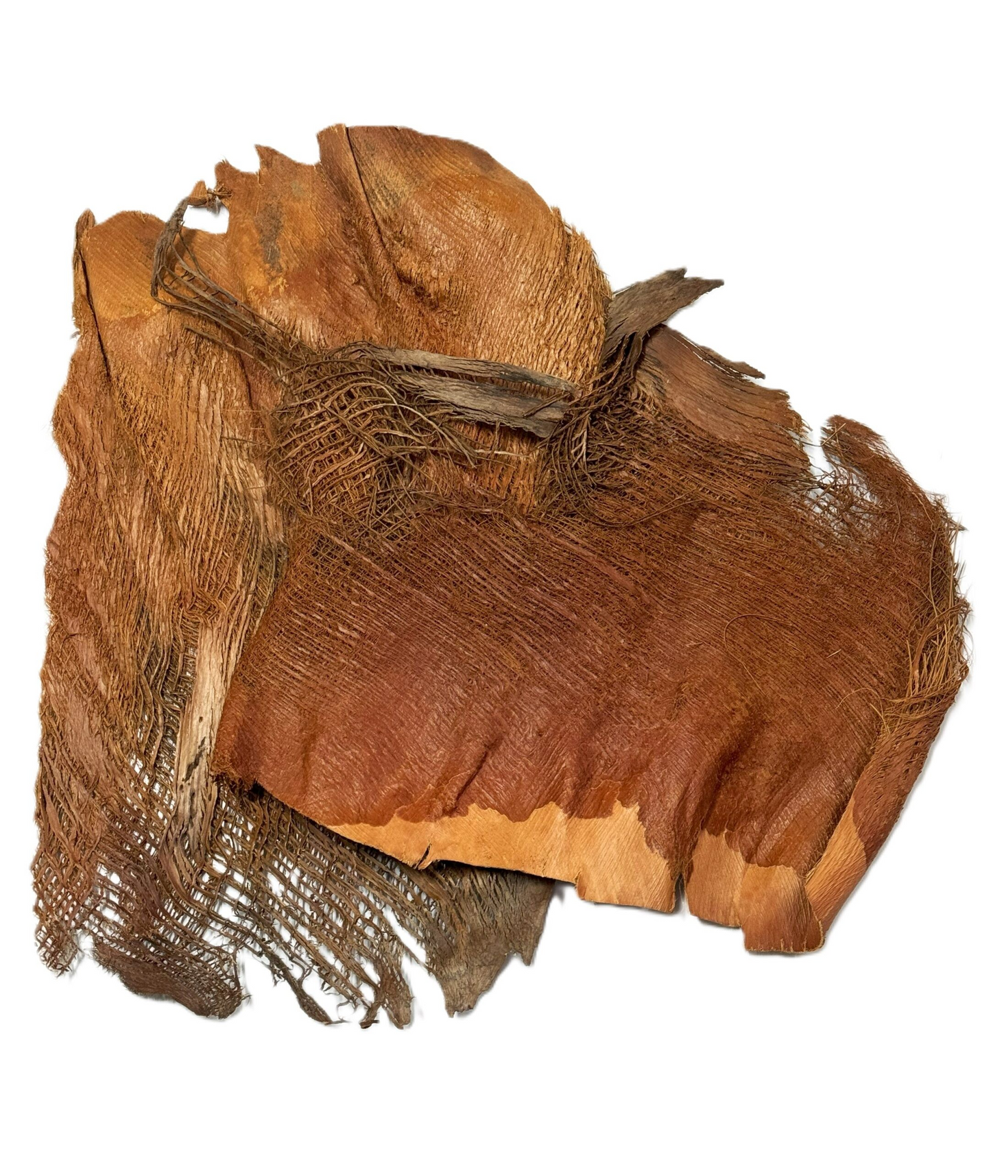 Palmenfaser 35g