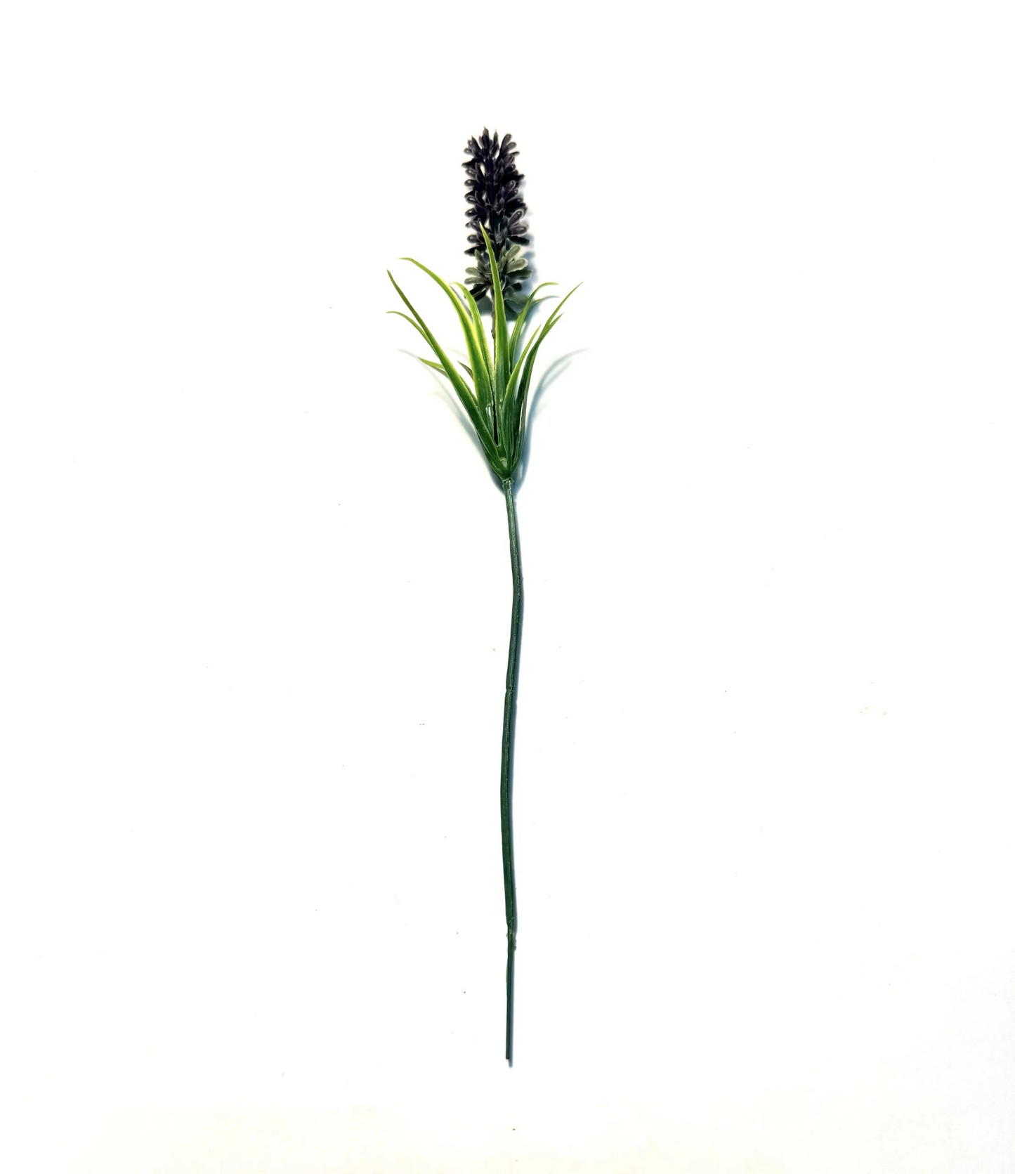 Lavendel 18cm