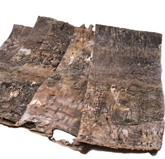 Birkenrinde dunkel ca. 24x70cm