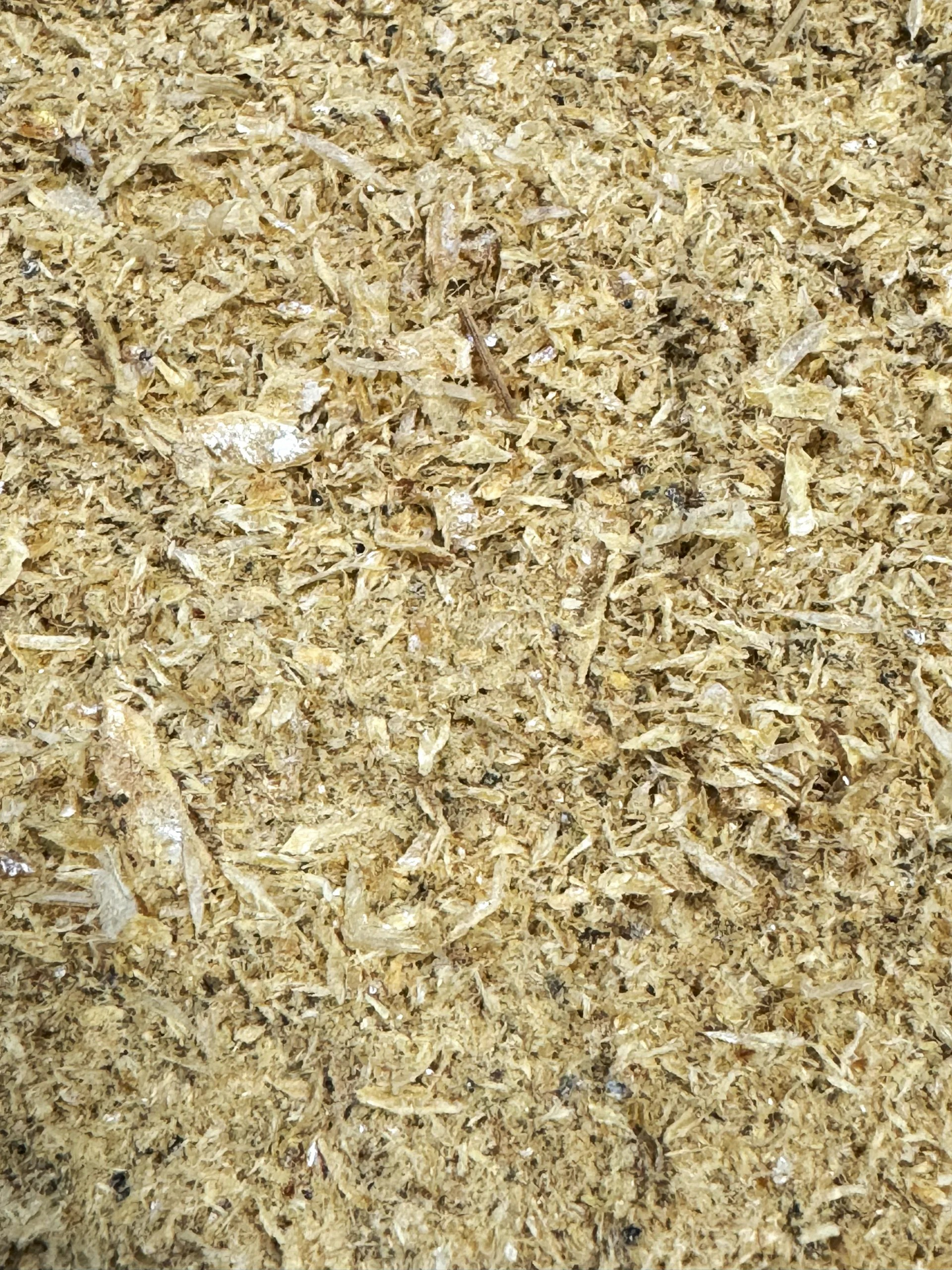 Garnelen getrocknet und gemahlen