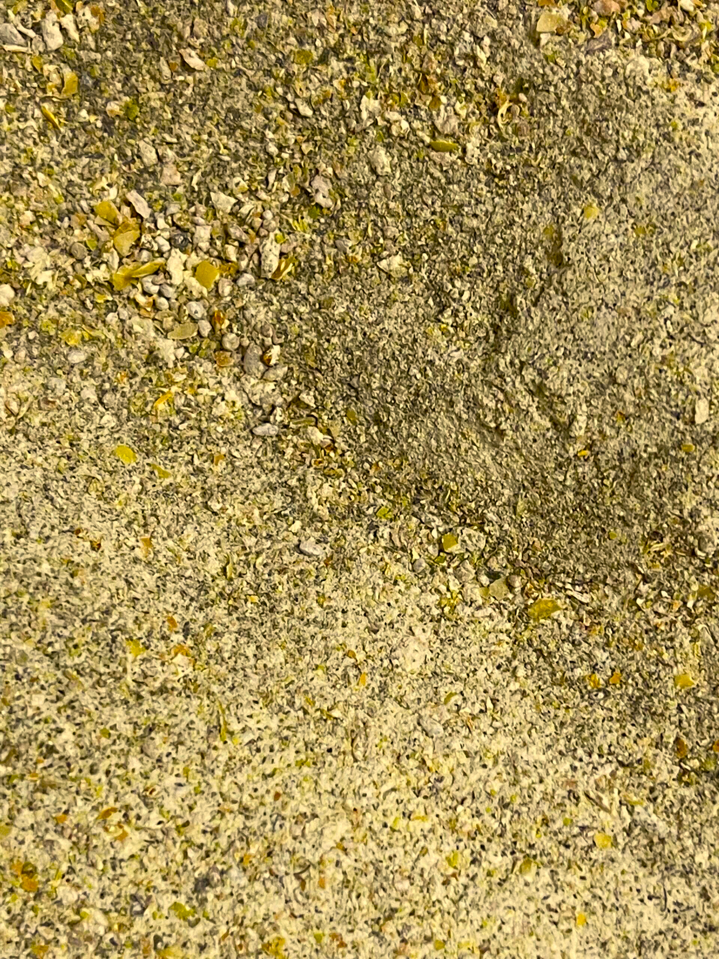 Schneckenfutter Mix Kürbis