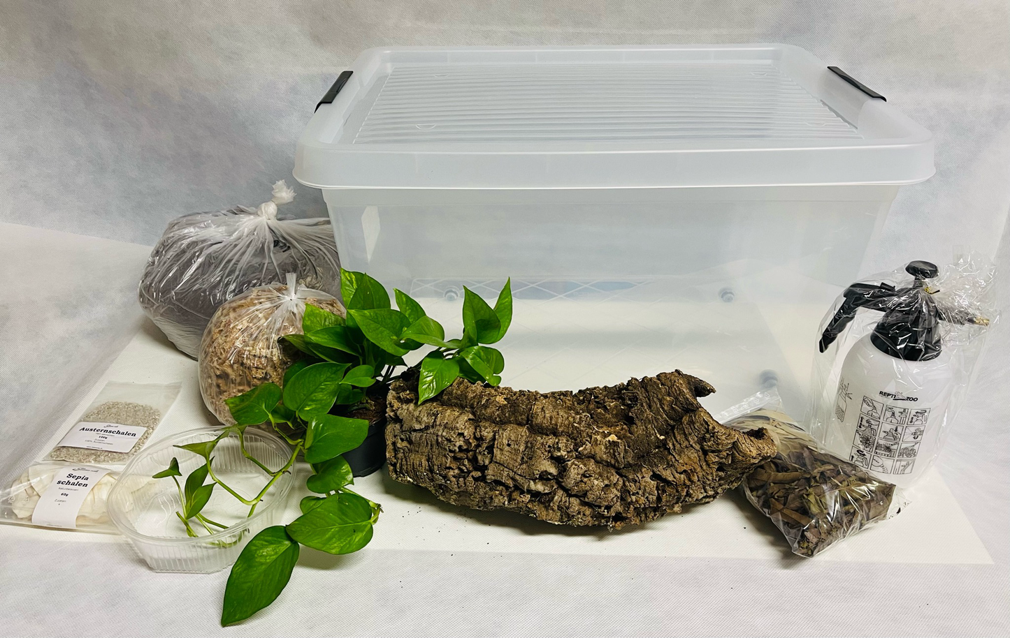 Komplettset für die Art Lissachatina Fulica Boxhaltung