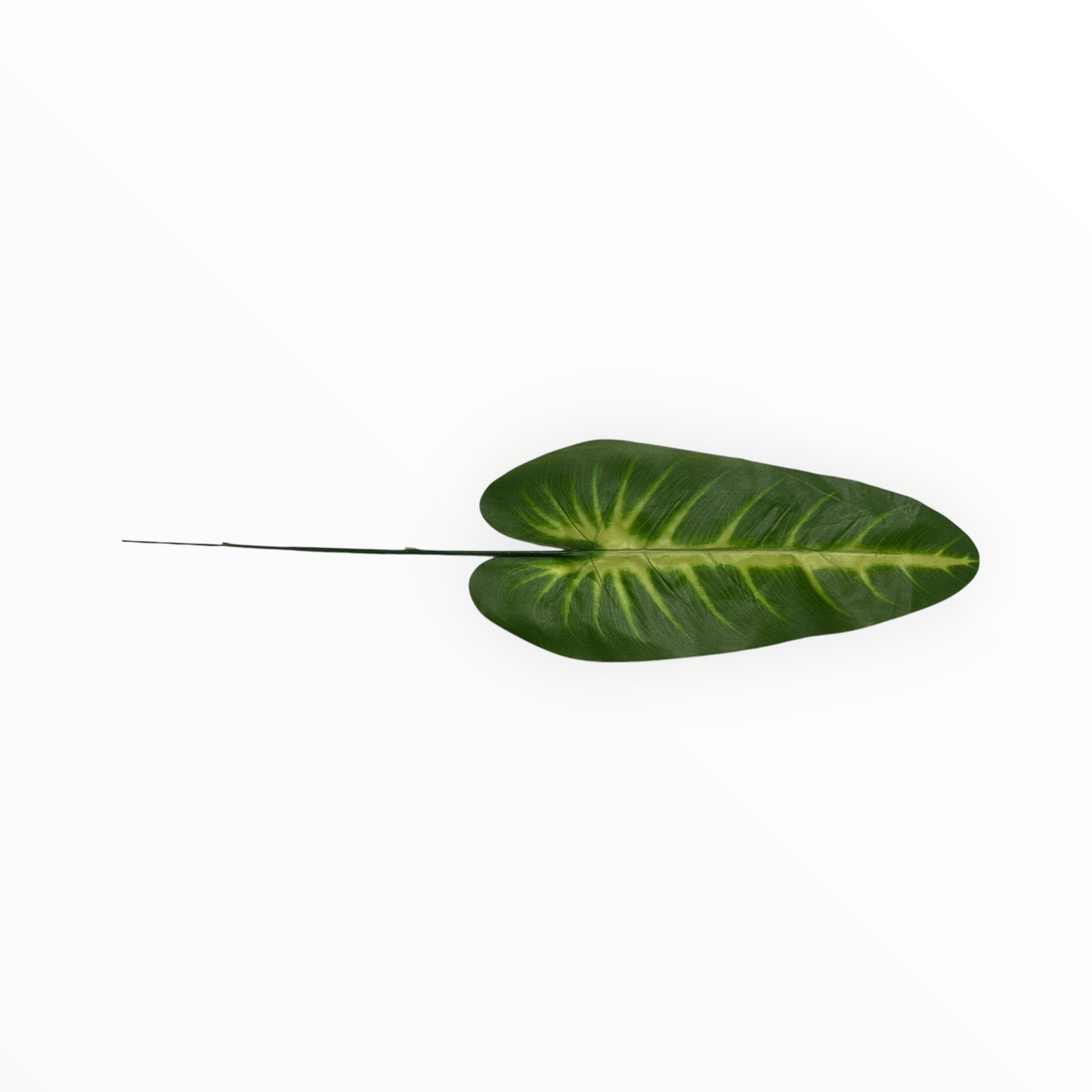 Tropisches Blatt 24cm