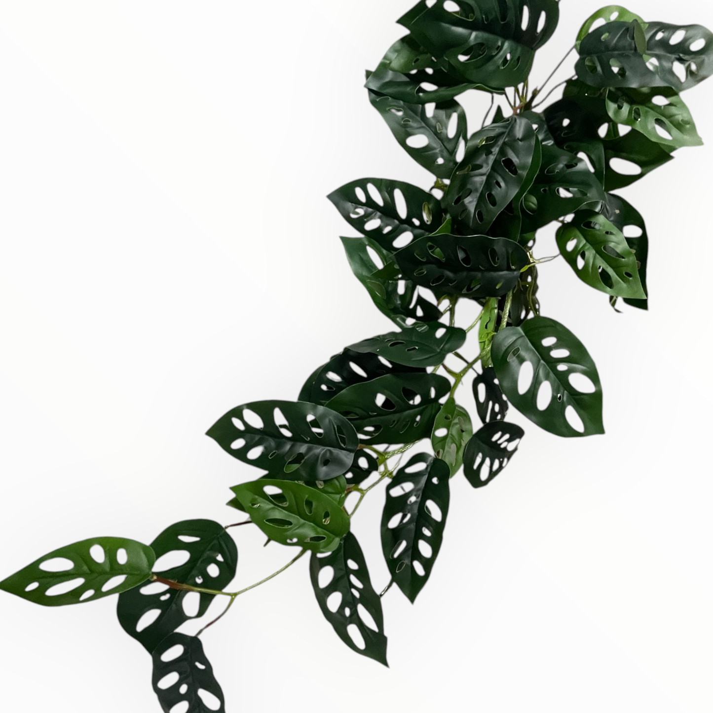 Große Hängepflanze ca. 80cm