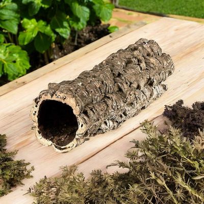 Terrarien Einrichtung