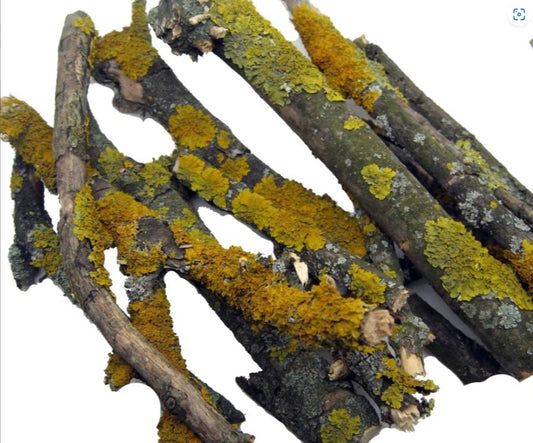 Äste mit Flechten 300g