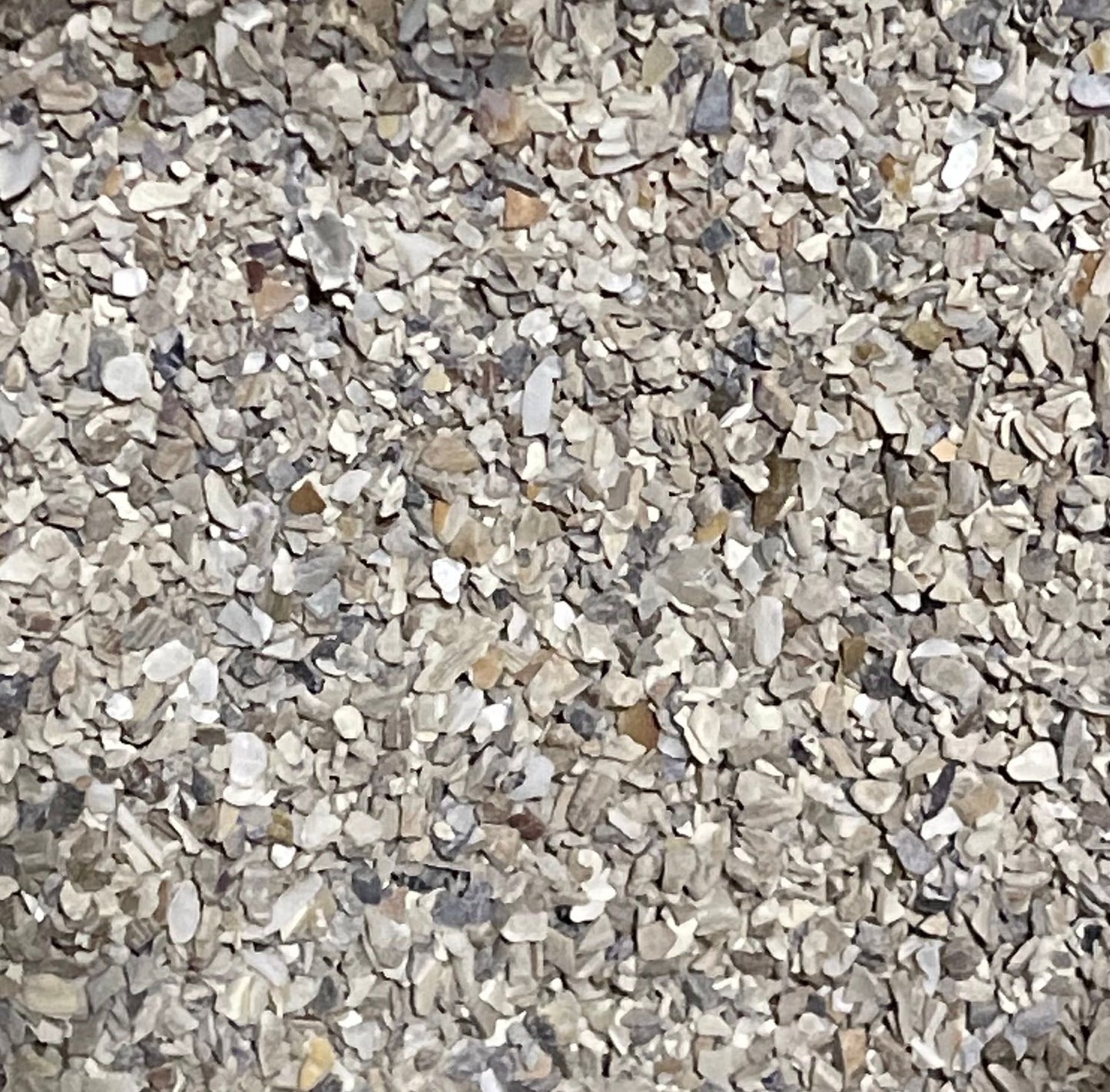 Austernschalen fein gemahlen