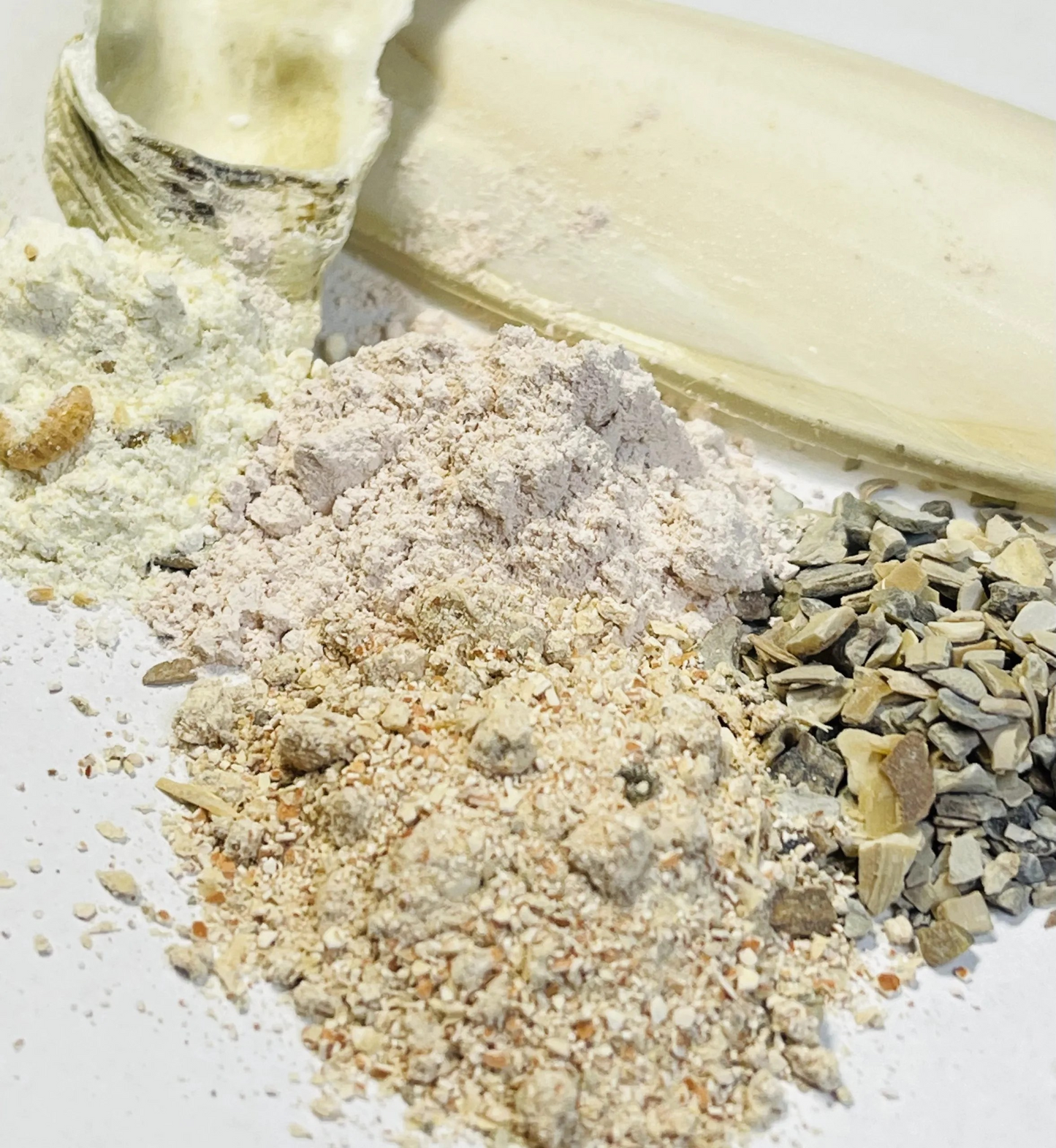 Starkes Haus 🐌💪 Paket