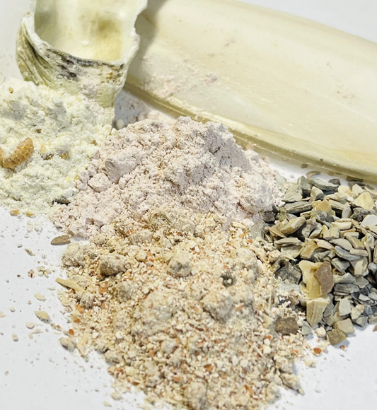 Starkes Haus 🐌💪 Paket