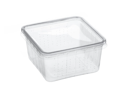 Heimchenbox mit Deckel