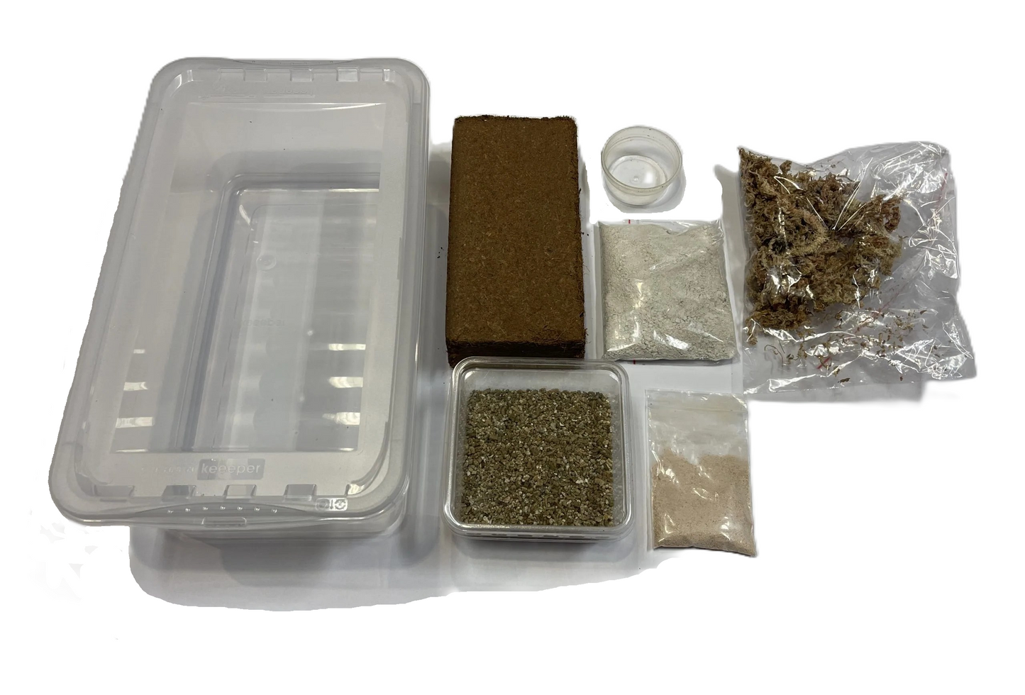 Schnecken Aufzuchts Kit für Lissachatina & Limicolaria Arten