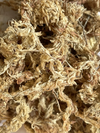 Sphagnum Moos getrocknet 50g