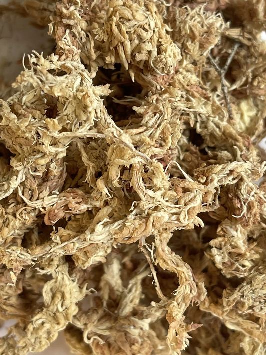 Sphagnum Moos getrocknet 50g