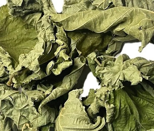 Haselnussblätter 1 Liter