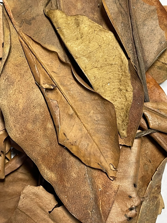 Mangrovenblätter 1 Liter