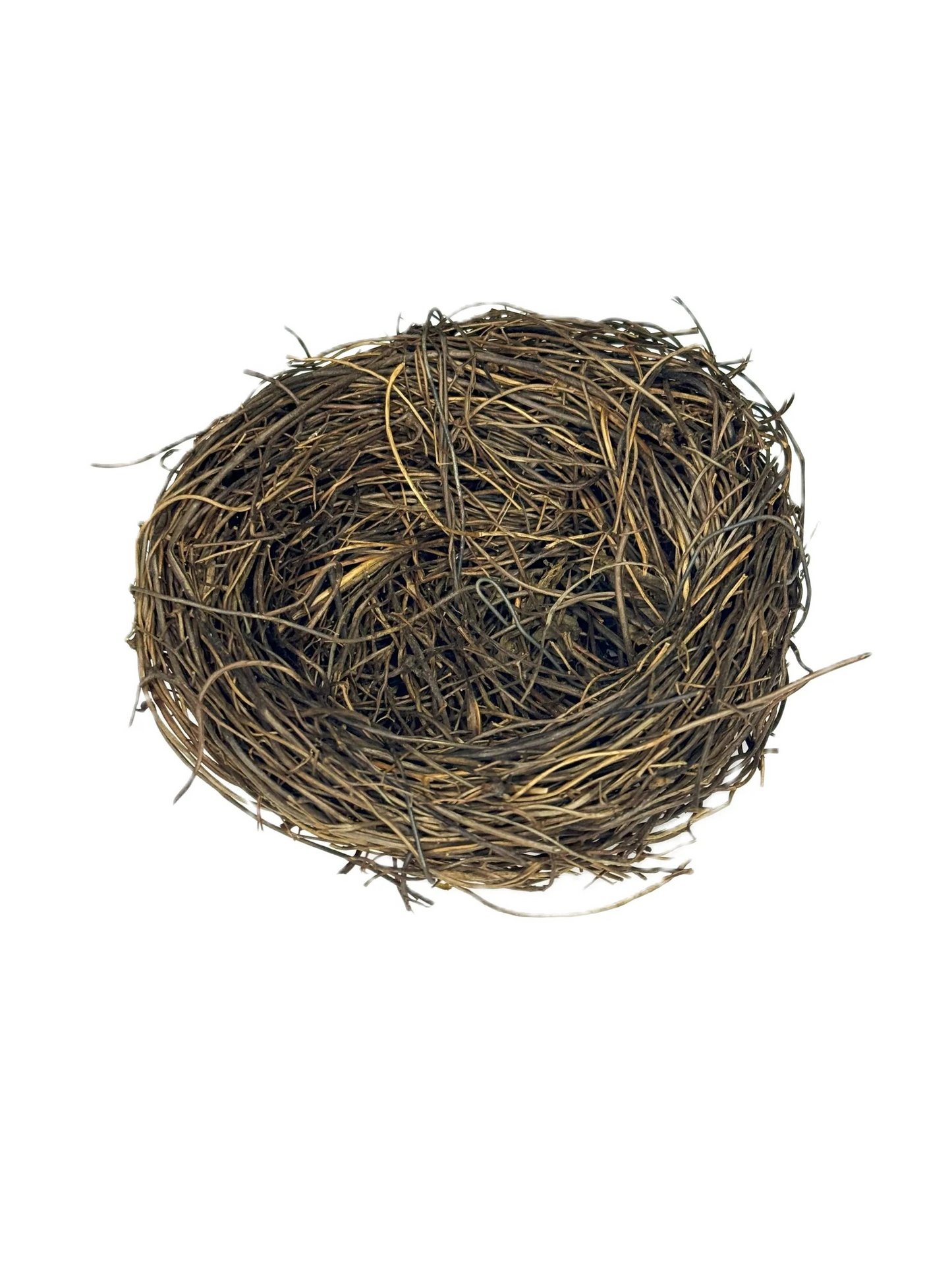 Nest 10cm