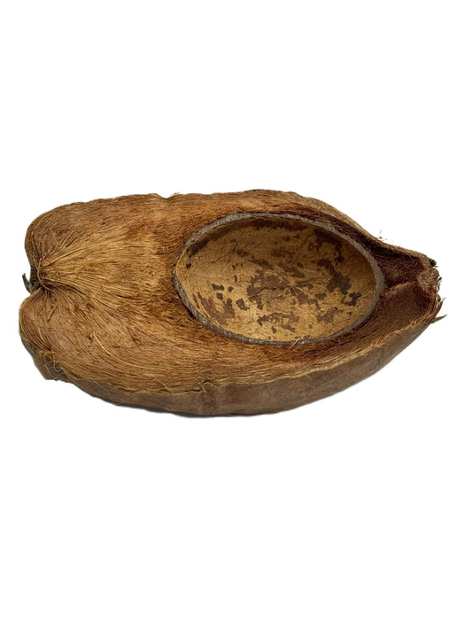 Kokosnuss Schale 13-16cm