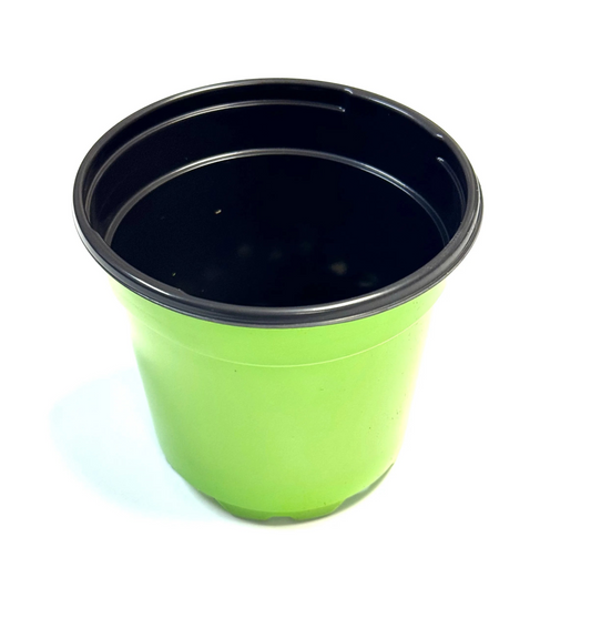 Pflanztopf grün 10cm