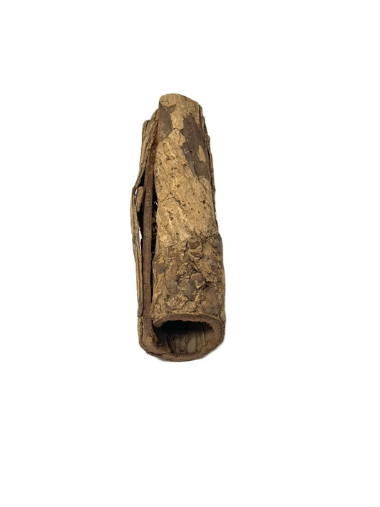 Seemandelbaumrindenröhre 15cm