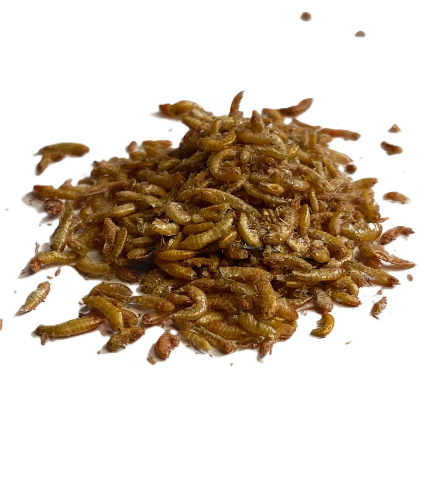 Gammarus getrocknet