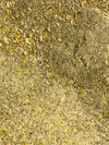 Schneckenfutter Mix Kürbis