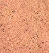 Schneckenfutter Mix süße Paprika