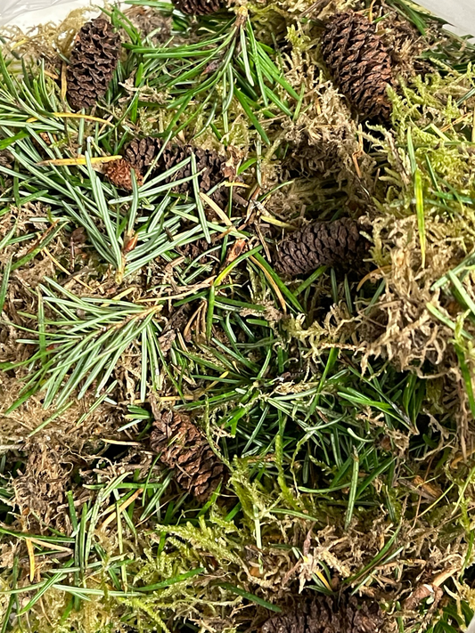 Waldboden Mix 1 Liter