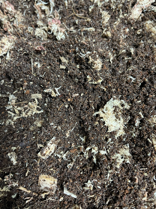 Erde für alle Einheimischen Schnecken Arten fertig gemischt