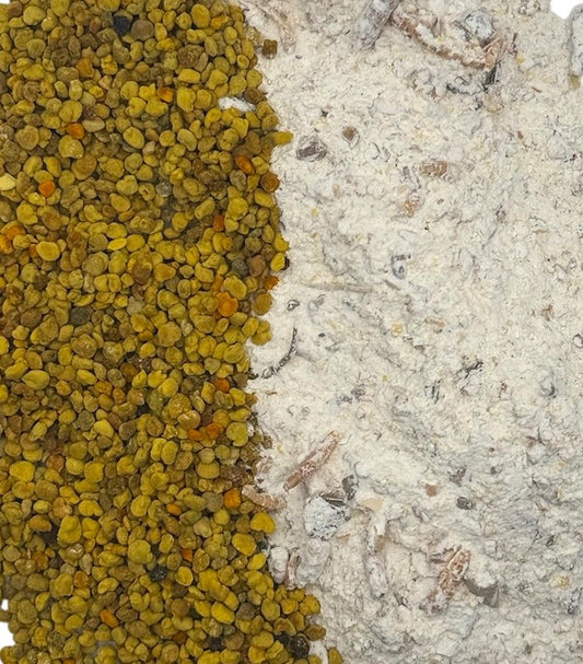 Kris Buckleys Original Schneckenboost mit Bienenpollen