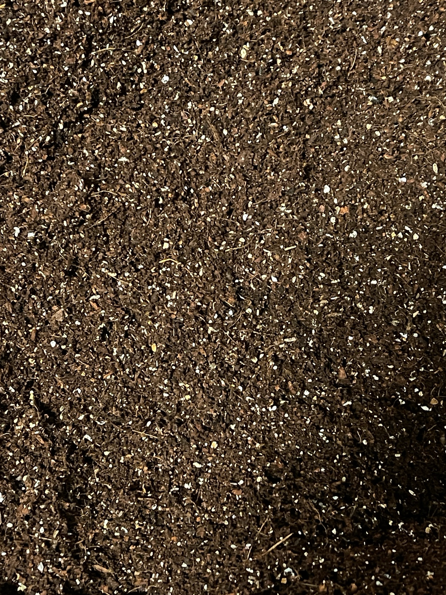 Achatschnecken Erde fertig Mix/ mit Austernschalen/ für alle Achatschneckenarten