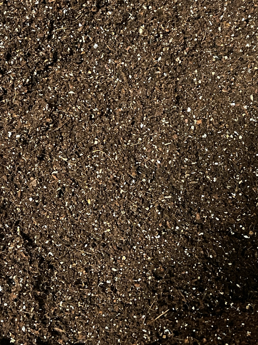 Achatschnecken Erde fertig Mix/ mit Austernschalen/ für alle Achatschneckenarten