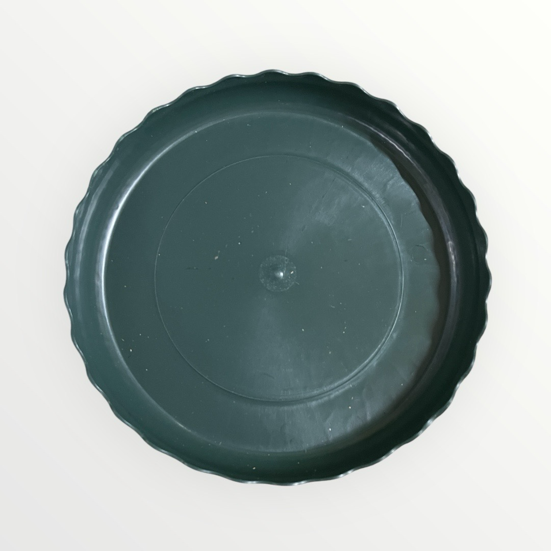 Futter/Wasserschälchen grün klein