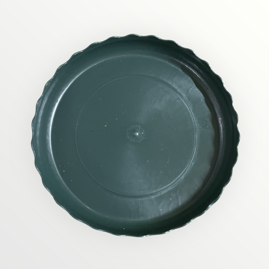 Futter/Wasserschälchen grün klein