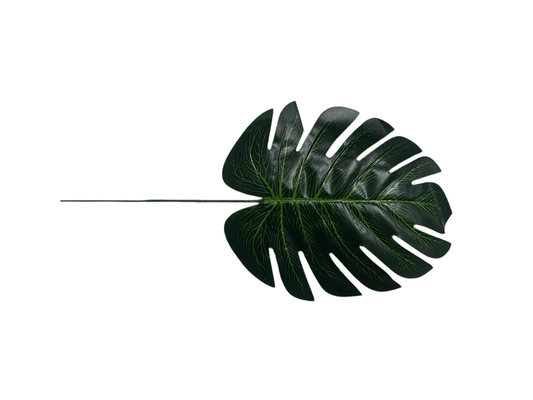„Monstera“ Blatt 17cm