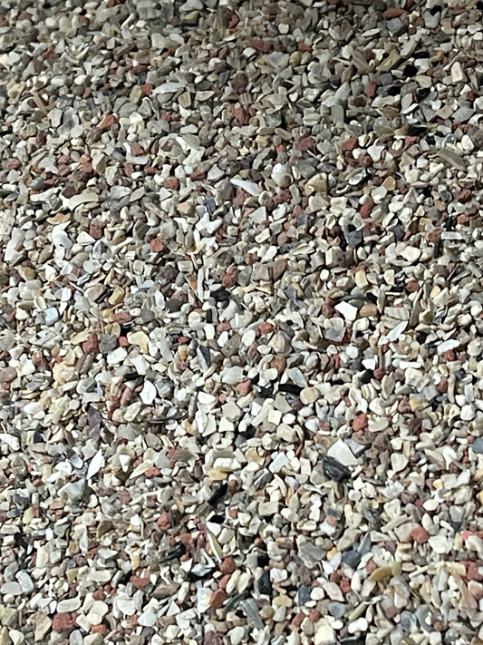 Austernschalen Special Mix