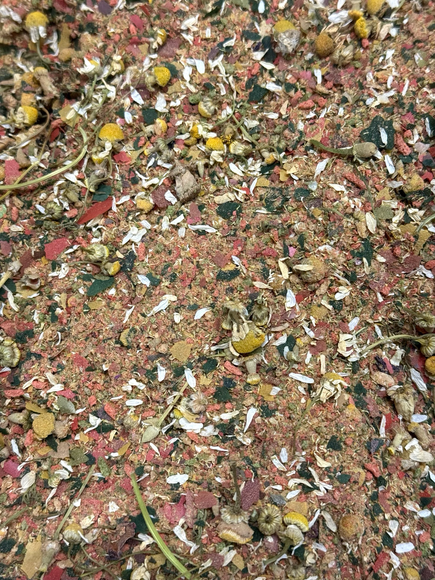 Schneckenfutter Mix Pride