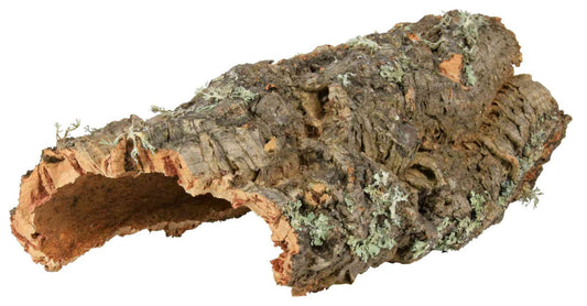 Korkplatte ca. 20-30cm