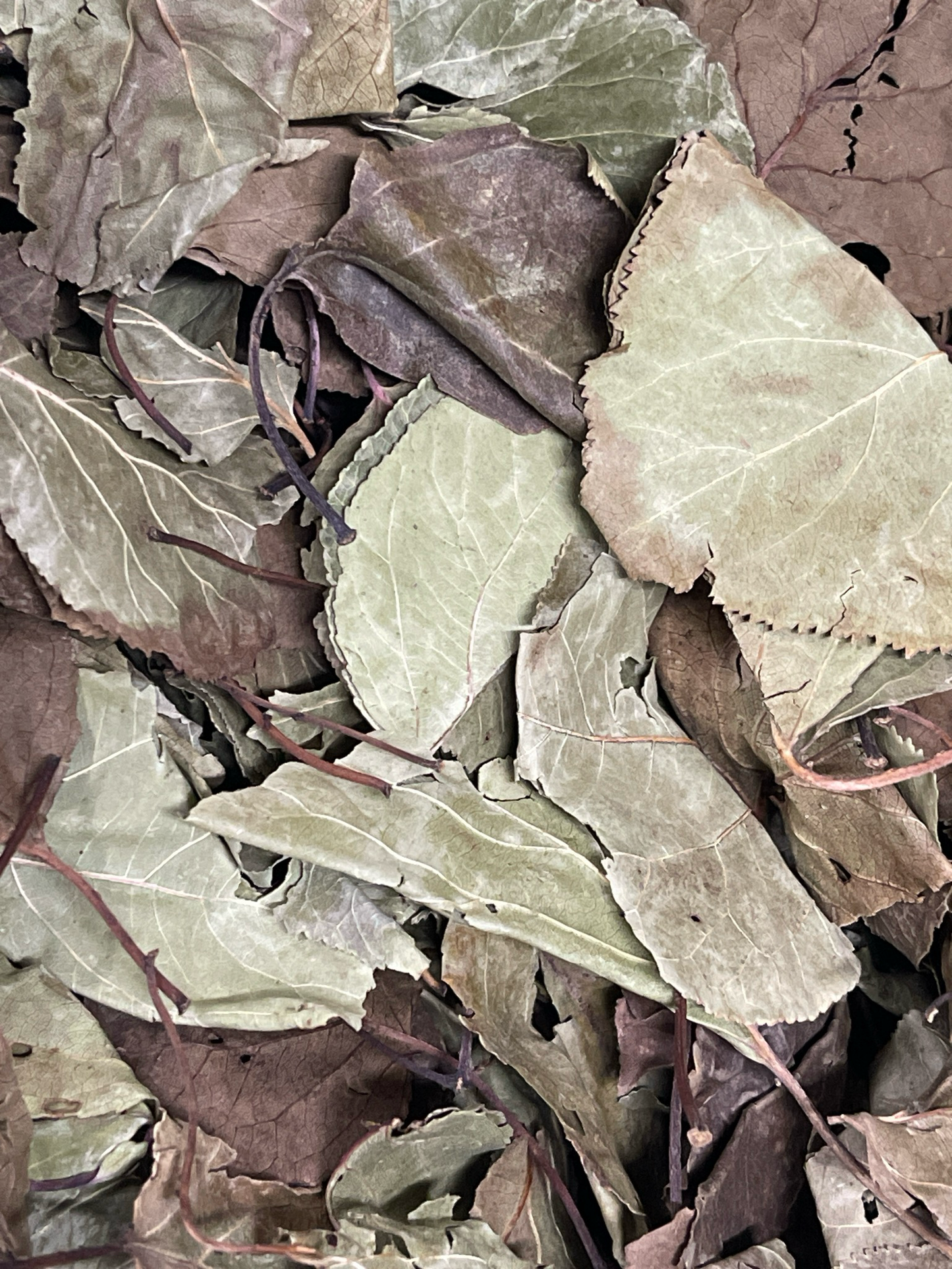 Aprikosenblätter 1 Liter