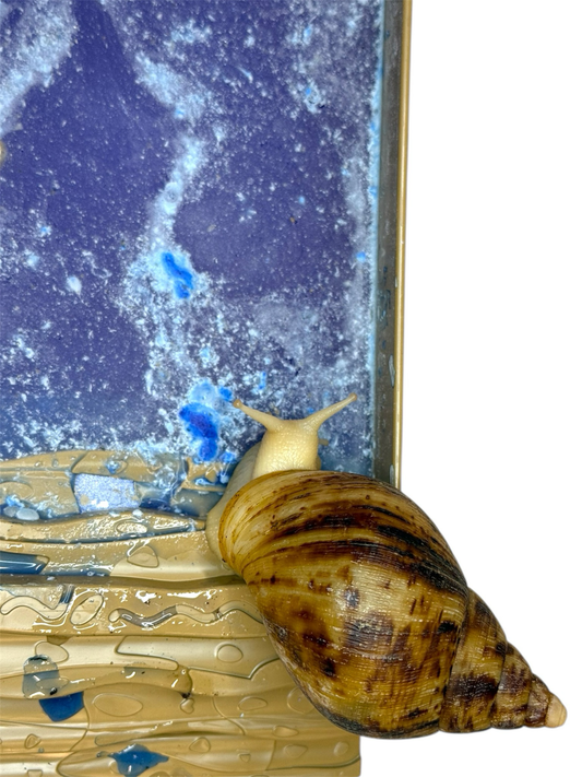 Schneckenfutter/ Schneckenboost mit blauer Spirulina