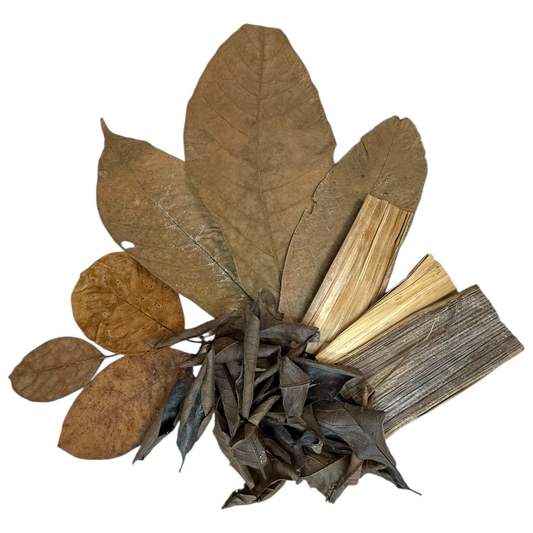 Laub exotisch Mix/ Terrarien deko