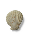 Futterschale Muschel ca. 4cm