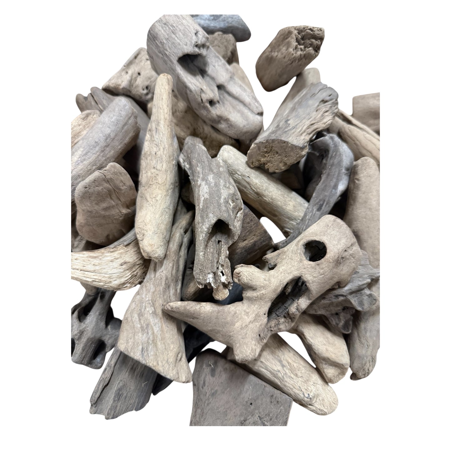 Treibholz klein (ca. 5cm)