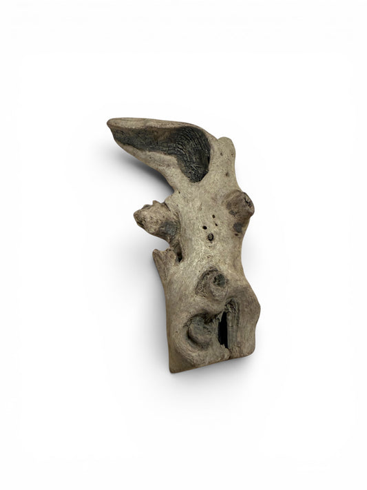 Treibholz klein (ca. 5cm)