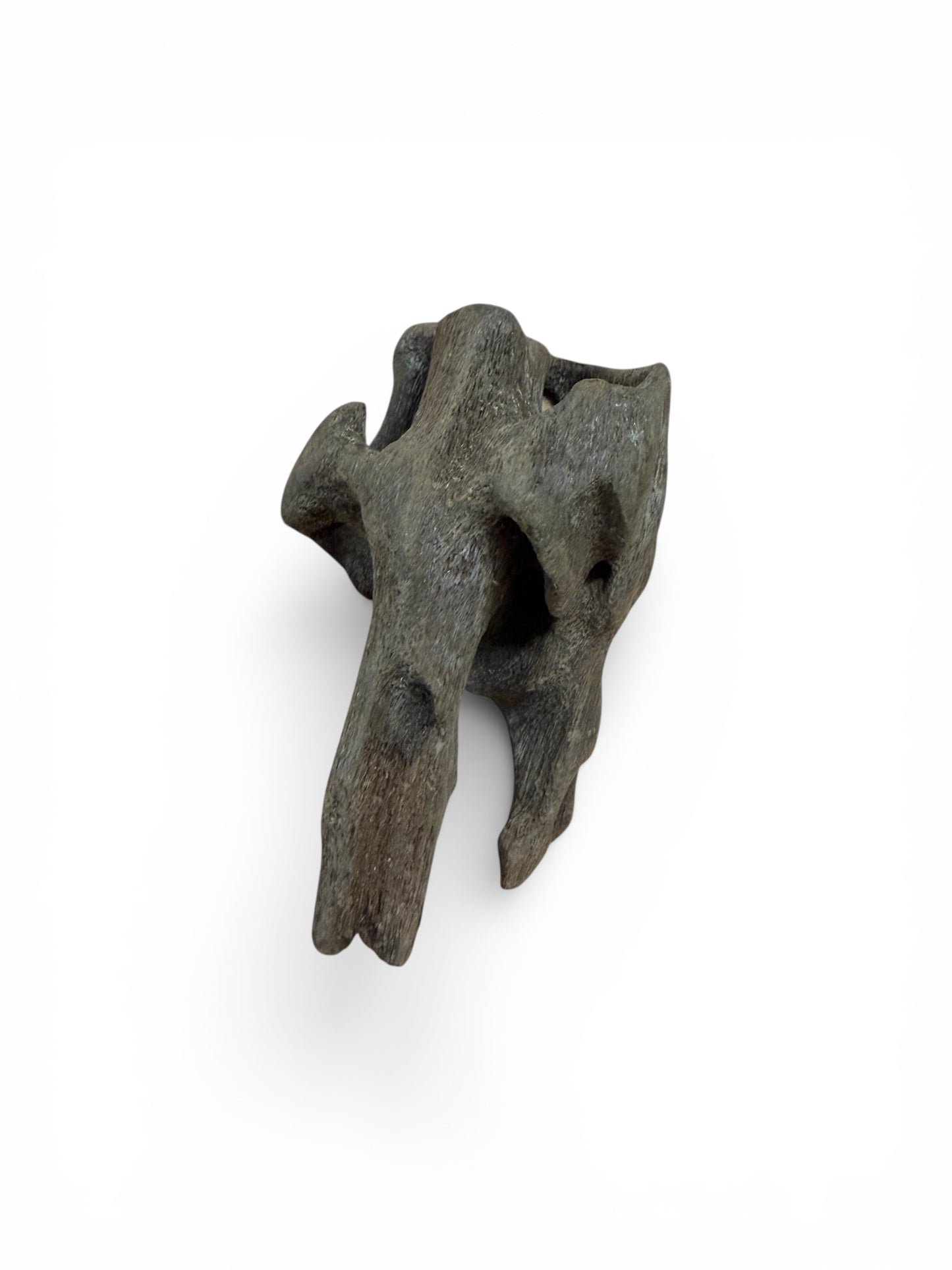 Treibholz klein (ca. 5cm)