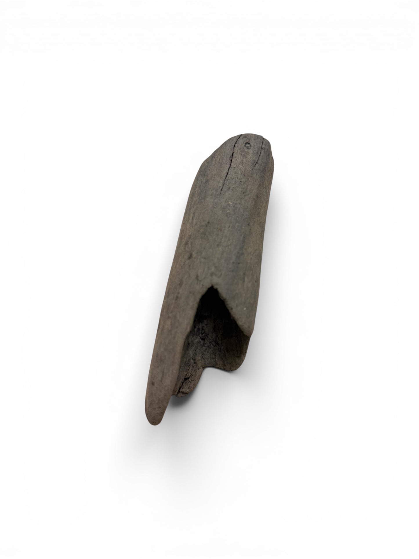 Treibholz klein (ca. 5cm)