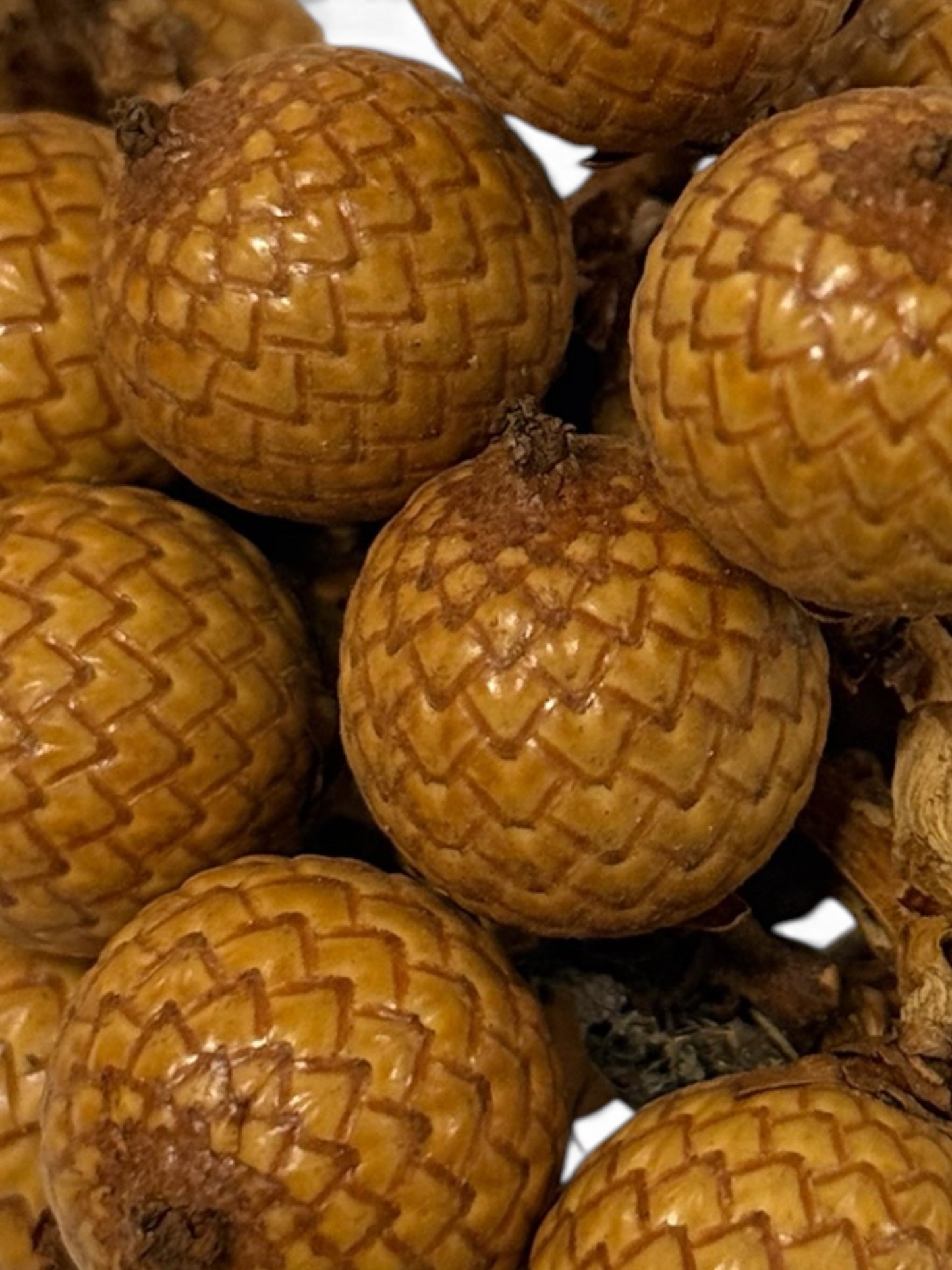 Rattan Zweige mit Früchten ca. 10cm