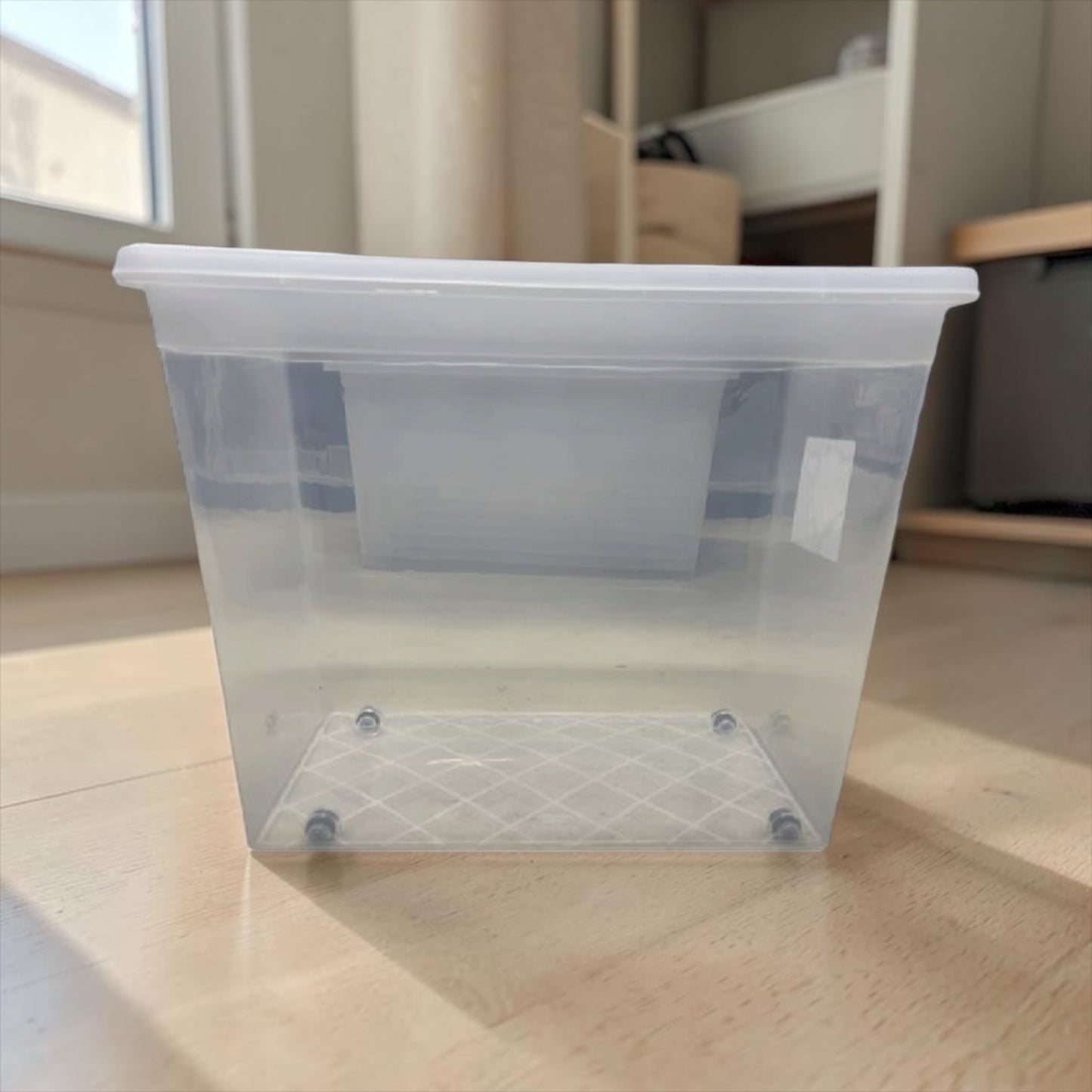 Schnecken Box 80 Liter – Die ideale Alternative zum Terrarium